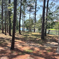 Overwhelmed-by-Overgrowth-We-Can-Help-Miramar-FL 0